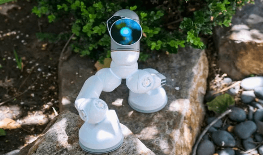 A futuristic graphic representing the future of cybersecurity with interconnected nodes and a digital shield.